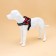 C9 harness is soft reflective, size m, og 55-65 cm, weight 11-20 kg, red