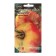 Seed Tomat "Armenian yellow", 5 pcs