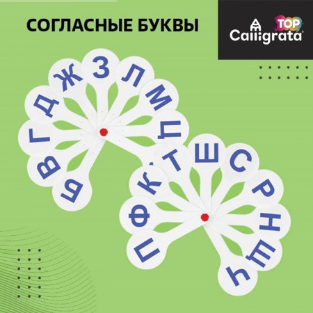 Набор веер-касс, гласные, согласные, цифры от 1 до 20, Calligrata TOP, плотные, 3 штуки, пакет с европодвесом-3