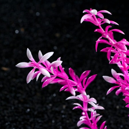 The artificial aquarium plant on the platform in the form of a snag, 30 cm, pink-2
