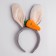 Carnival rim "Bunny", with carrots, color mix