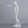 Gypsum figure is anatomical: Gudon, 73.5 cm