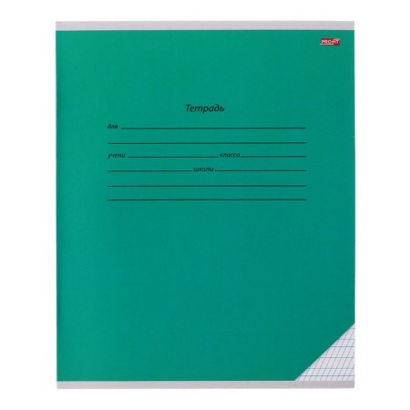 A notebook of 12 sheets in a frequent slant with an additional horizontal line "Classic", cover coated paper, offset block, mix-5