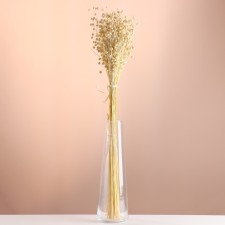Set of dried flowers 