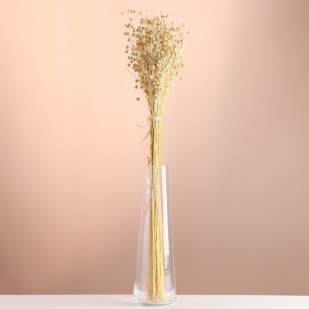 Set of dried flowers "Lenon-debunge", banch length 55-60 (+/- 6 cm).