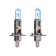 Car lamp Clearlight Whitelight, H1, 12 V, 55 W, set 2 pcs
