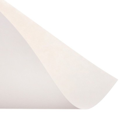White cardboard A4, 8 sheets "kitten", non -mercenary, density 220 g/m2-3