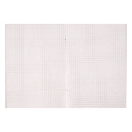 Notebook of 36 sheets in the Cool Tyrannosaurs cage, cover Cardon, Block No. 2, White 75% (gray sheets), mix-2