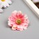 Budon on the leg for decoration "Multilayer chamomile pink" 6x6 cm