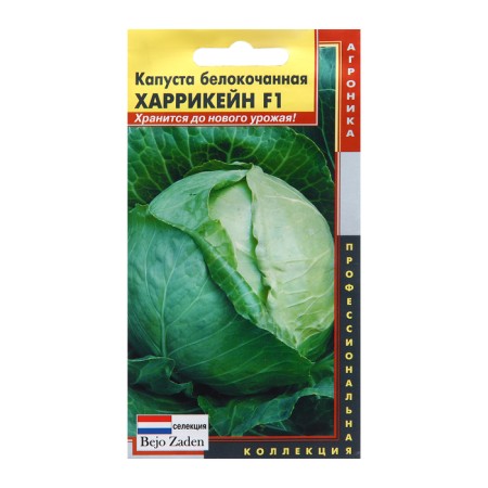 Cabbage Cabbage seeds Hurricane F1