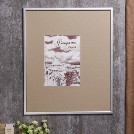 Photo frame pine c19 silver 50x60 cm (plastic screen)