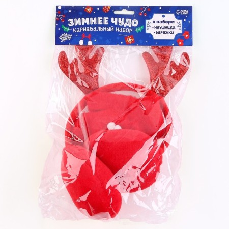 Carnival set "Winter Miracle": hobby rims, mittens-11
