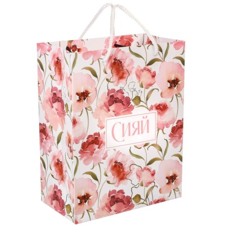 Gift package "Shine" 18x23x10 cm, packaging, princesses-1