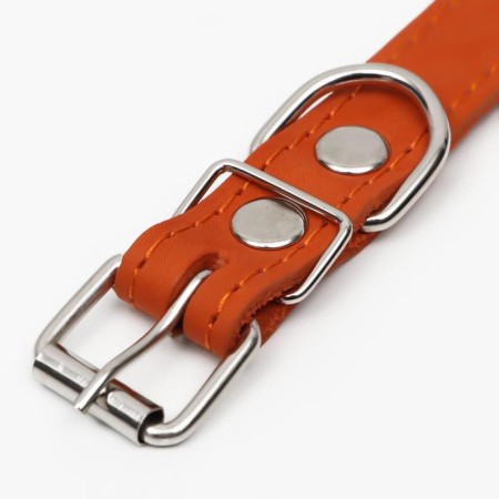 Collar leather single-layer, dimensionless, 56 x 2.5 cm, Osh 17-44 cm, orange-3