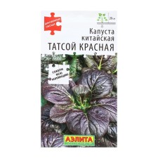 Chinese cabbage 