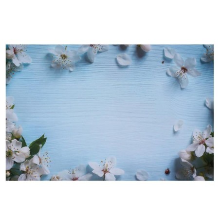 Photophone bilateral paper 300 g "Apple color on blue and white" 57x87 cm-1