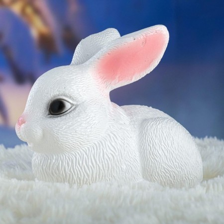 Piggy bank "Bunny" White, 18x11x15cm-6