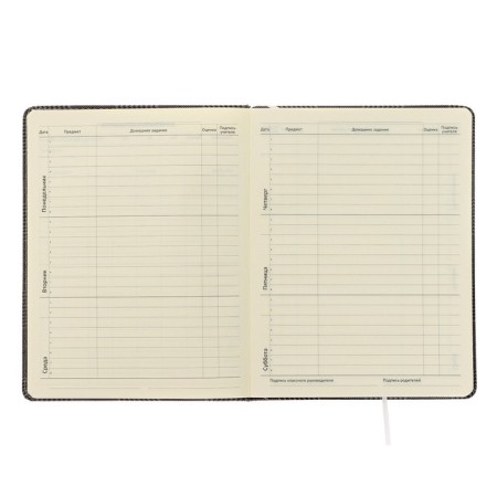Universal diary for grade 1-11 GREY, hard cover, artificial leather, with foam, lies, 80 g/m2-4