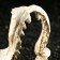 Decor for the Aquarium "Jaw", 9.5 x 6 x 11 cm