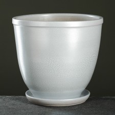 Flower Pot 