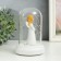 Souvenir Polystone Light "Angel Girl in a White Dress" mix 10.2x10.5x16 cm