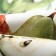Path on the Ethel table Fruit Garden 40x149cm, 100% cotton, sarzha 190 g/m2