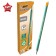 Chernographic pencil (simple) HB, bic evolution, sharpened, plastic, with an eraser, hexagonal, green case