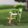 Garden figure "Frog on the bench" 7x13x19cm /// Mix