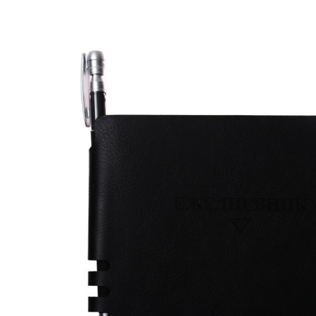 The diary is low, PVC cover, A5 format, 140 l, cell, with a pen, classic, mix