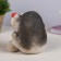 Growing gift Eco -Zhizhivchik "Hedgehog" Mix