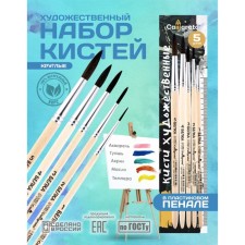 Set of protein brushes 5 pieces, calligrata No. 4 (round No.: 1, 2, 3, 4, 5), wooden handle, in the pencil case