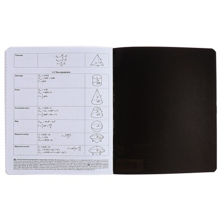 Subject notebook, 48 sheets, cells, geometry, erichkrause "Inscription", cardboard cover of Twin-lak, block offset 100%, information block-6
