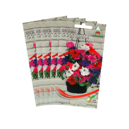 Flowers of Petunia "Balcony", set 5 pcs