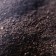 Pollen confectionery black, 5 g.