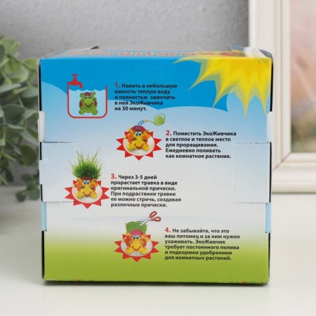 Growing gift Eco -Zhizhivchik "Bullfinch" Gift packaging-6