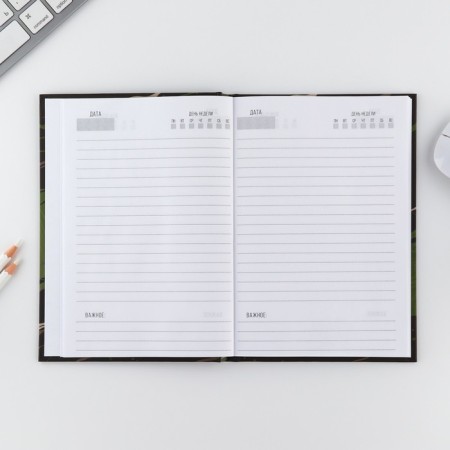 Gift set "February 23 Bear": Diary 80 sheets and pen-4