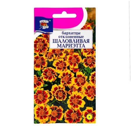 Flower seeds velvets Rimmed "playful Marietta" 0.3 g