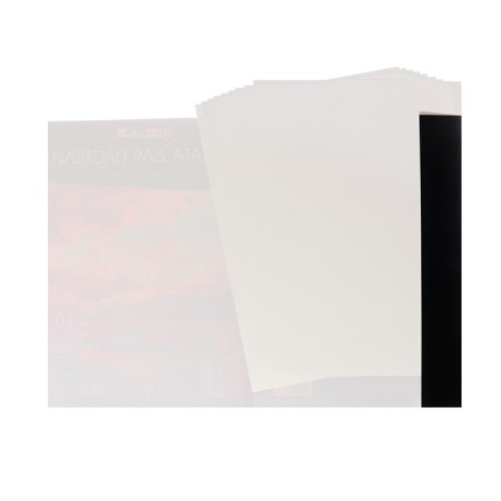 A3, 10 sheets pastel paper, “landscape”, ivory paper, Goznak, embossing “Shell”, block 200 g/m2, in the folder in the folder-5