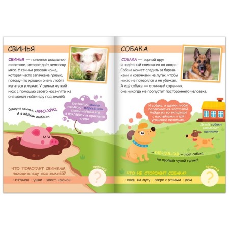 Set 3 in 1 "My Farm": 11 puzzles-chains, a book with stickers, coloring-10
