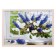 Painting "Beautiful bouquet" 56*76 cm frame mix