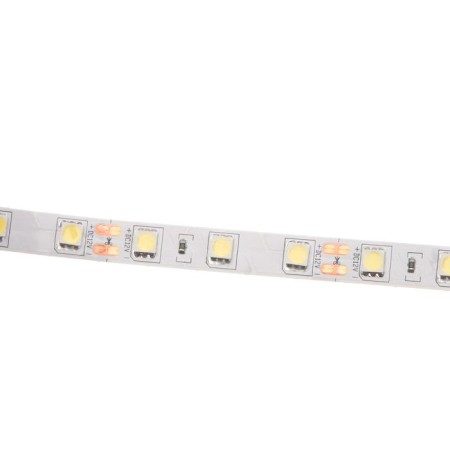 Ecola Pro 5 m, IP20, SMD5050, 60 LED/m, 14.4 W/m, 12 V, 6000K-1