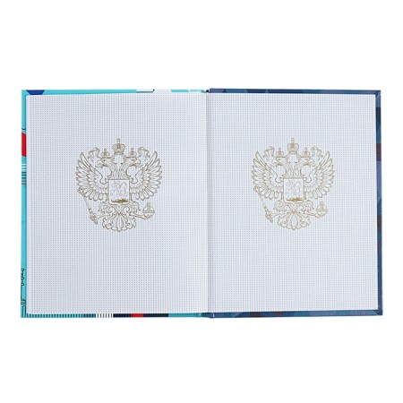 Universal Dodevink 1-11 Grade "Diary of a Russian schoolboy", 48 sheets, a solid cover, glossy lamination, liesa, an offset unit-13