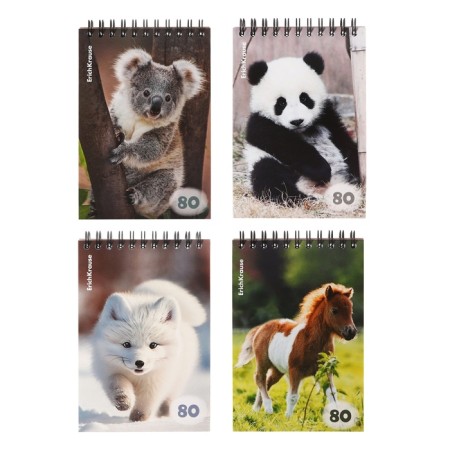 Notebook on spirals A6, 80 sheets, cage, Erichkrause "Fluffs", cardboard cover, OFSET unit, whiteness 100%, mix
