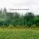 Decorative fence, 32 × 280 cm, 7 sections, plastic, yellow, "helm"