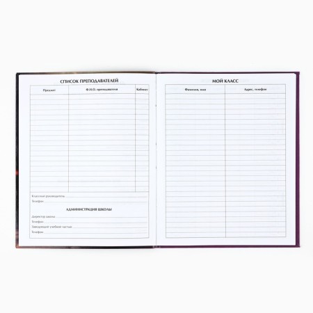 School diary for grade 1-11, in an integrated cover, 40 l. "Ballerina kitten"-1