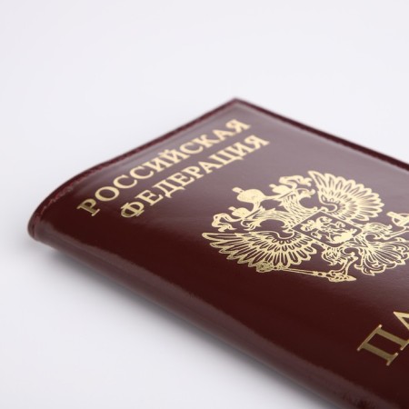 Cover for passport, burgundy color-3