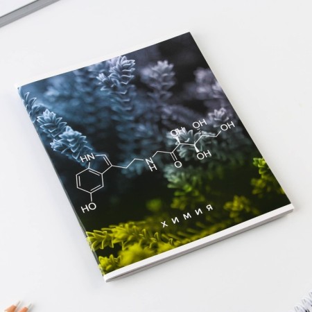 An objective note 48 sheets, A5, nature, with reference materials “September 1: Chemistry”, cover coated cardboard 230 gr., Inner block in a cage 80 gr., Whiteness up to 80%, block No. 2.-1