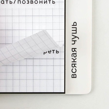 Planing with dividers "Expressor", soft cover, A5 format, 50 sheets-12
