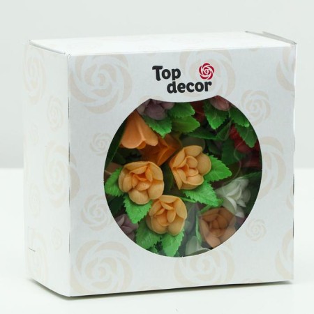 Vaphal violets on a two -leaf, mix, 100 pcs.-1