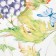 Diningrian "Ethel" Provence, tablecloth 220x150 +/- 3cm, napkins 12 pcs